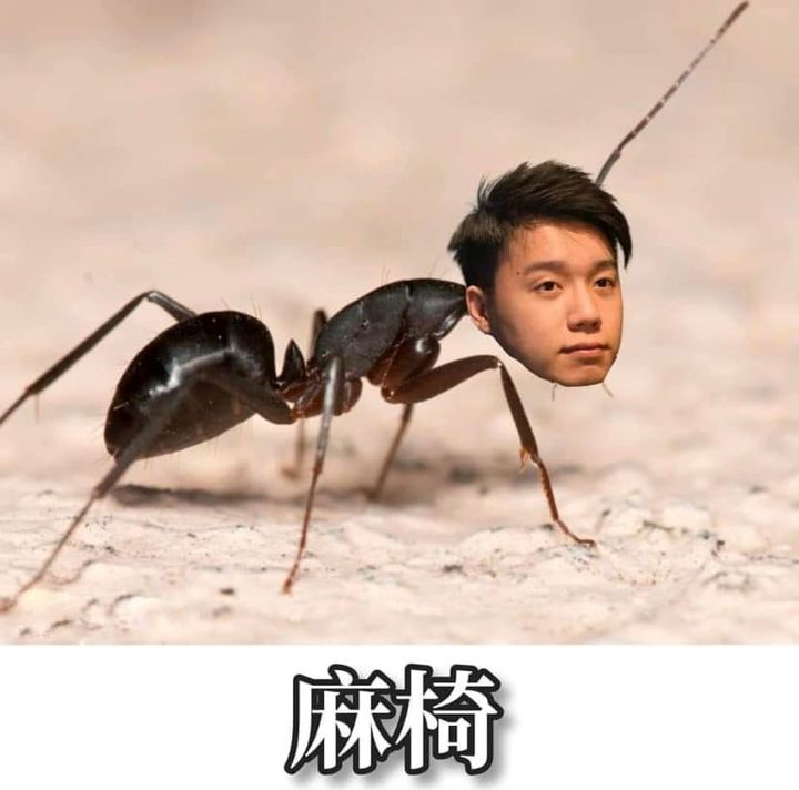 我一定上訴到底!Toyz開被告說明記者會回答Call in問題