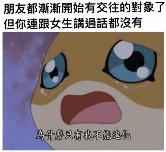 最後的總是我