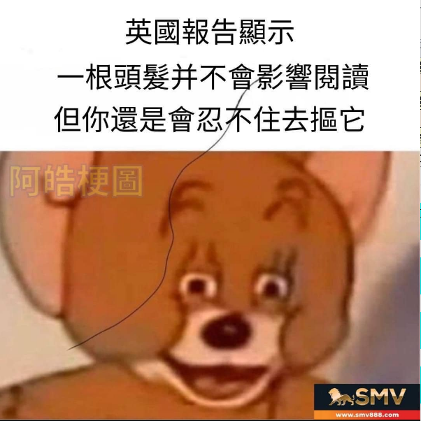 真的很礙眼阿不覺得嗎
