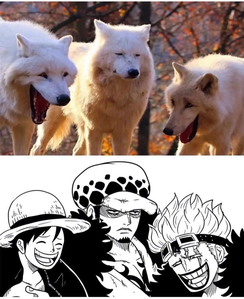 真的有異曲同工之處呀~