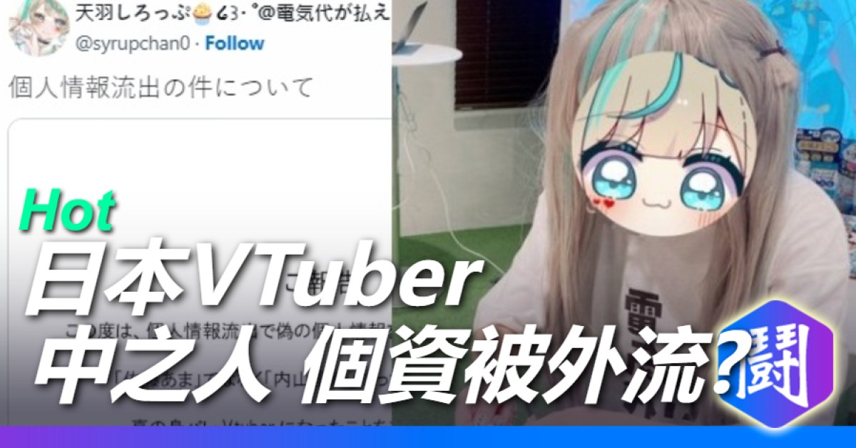 Kaizokukaito中之人