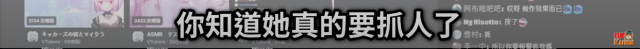 三毛貓咖啡廳風波：照片分享遭版權砲，在外拍照恐遭報警處理?!