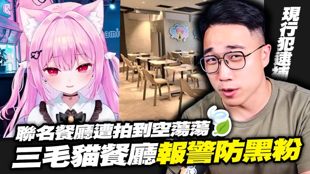 三毛貓咖啡廳風波：照片分享遭版權砲，在外拍照恐遭報警處理?!