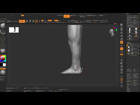 Body Anatomy study in zbrush