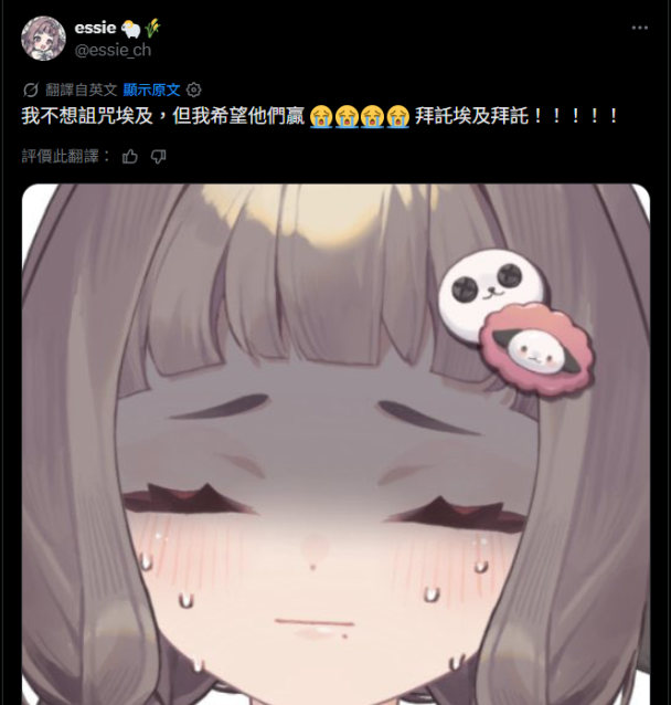 VTuber 支持誰誰就下去?世界盃粉絲拜託她閉嘴