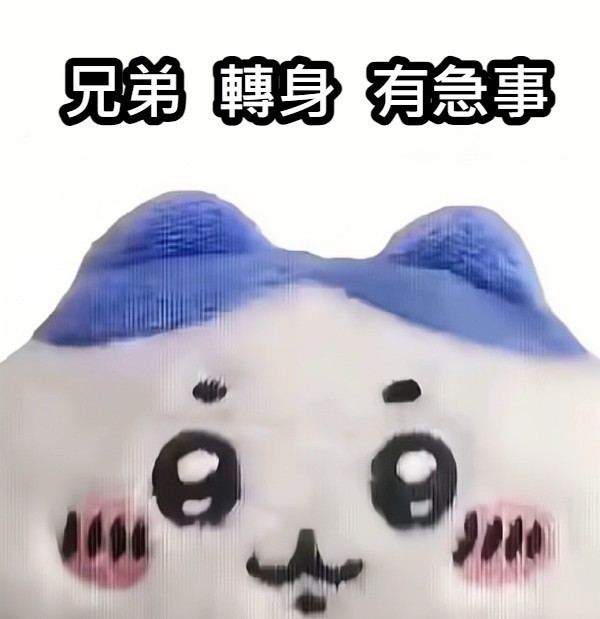 韓國高中生Cos《蔚藍檔案》妃咲黑旗袍拍畢業照引起轟動.....但...這是男校啊....