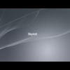 Skynet