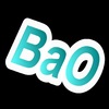 BaO Workshop