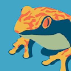 ovov ovov