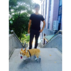 艾登阿