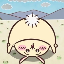 日番特派員