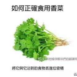 香菜大魔王